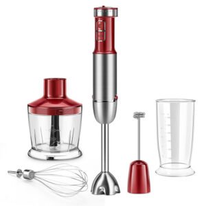 5 in 1 Stainless Steel Hand Blender hb2075