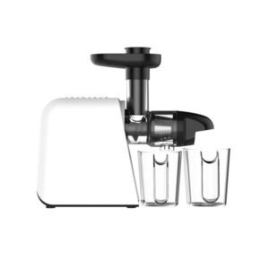 Masticating Juicer SL-001