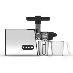 Masticating Juicer SL-002